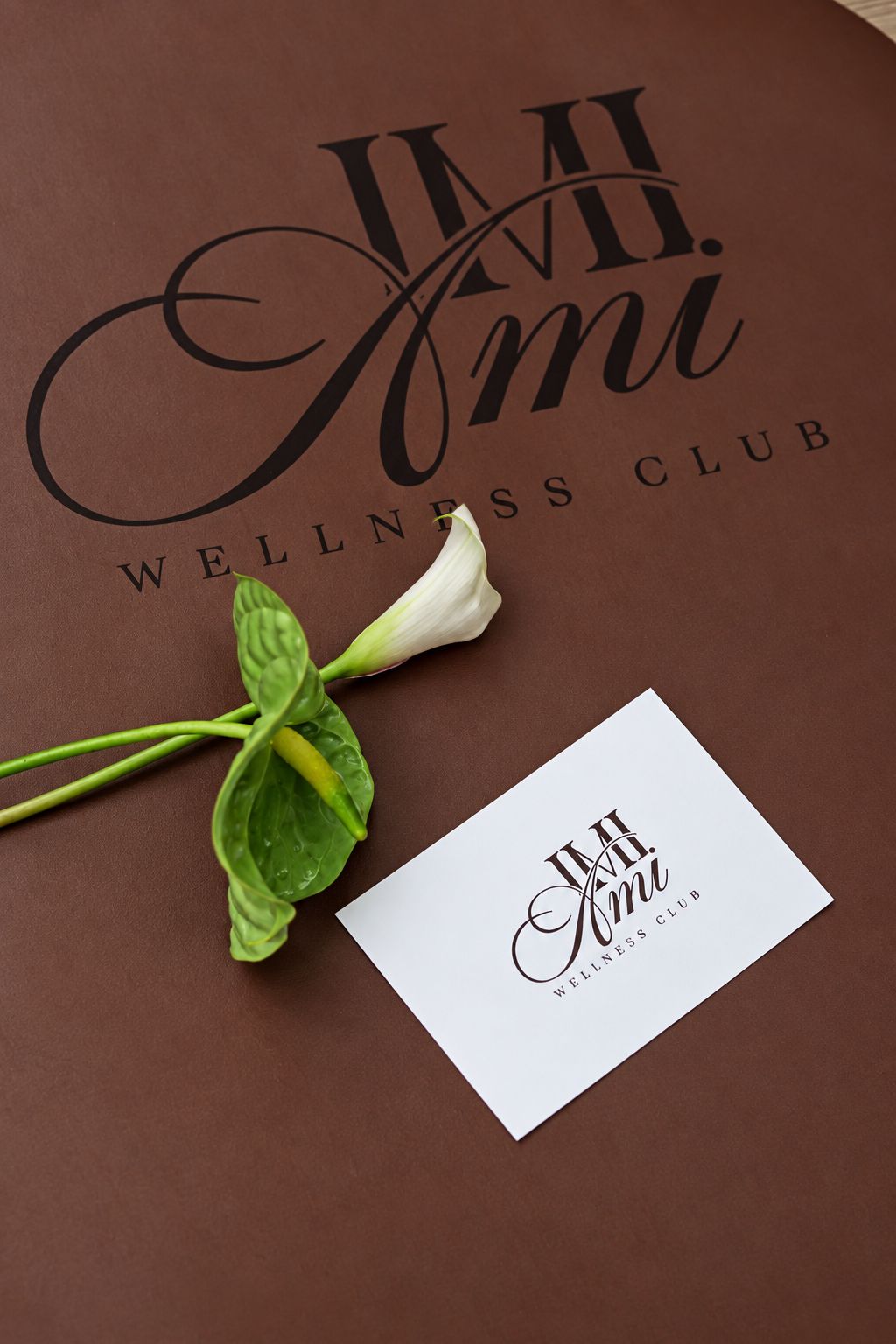 Carte de visite blanche au logo IMI Ami et arum posés sur une surface chocolat gravée du logo.